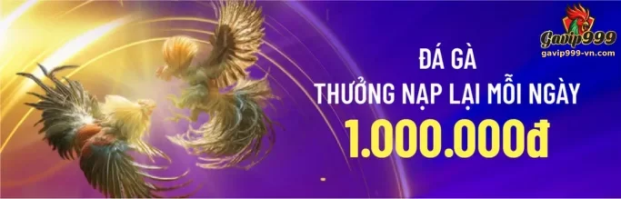 KHUYẾN MÃI GAVIP999